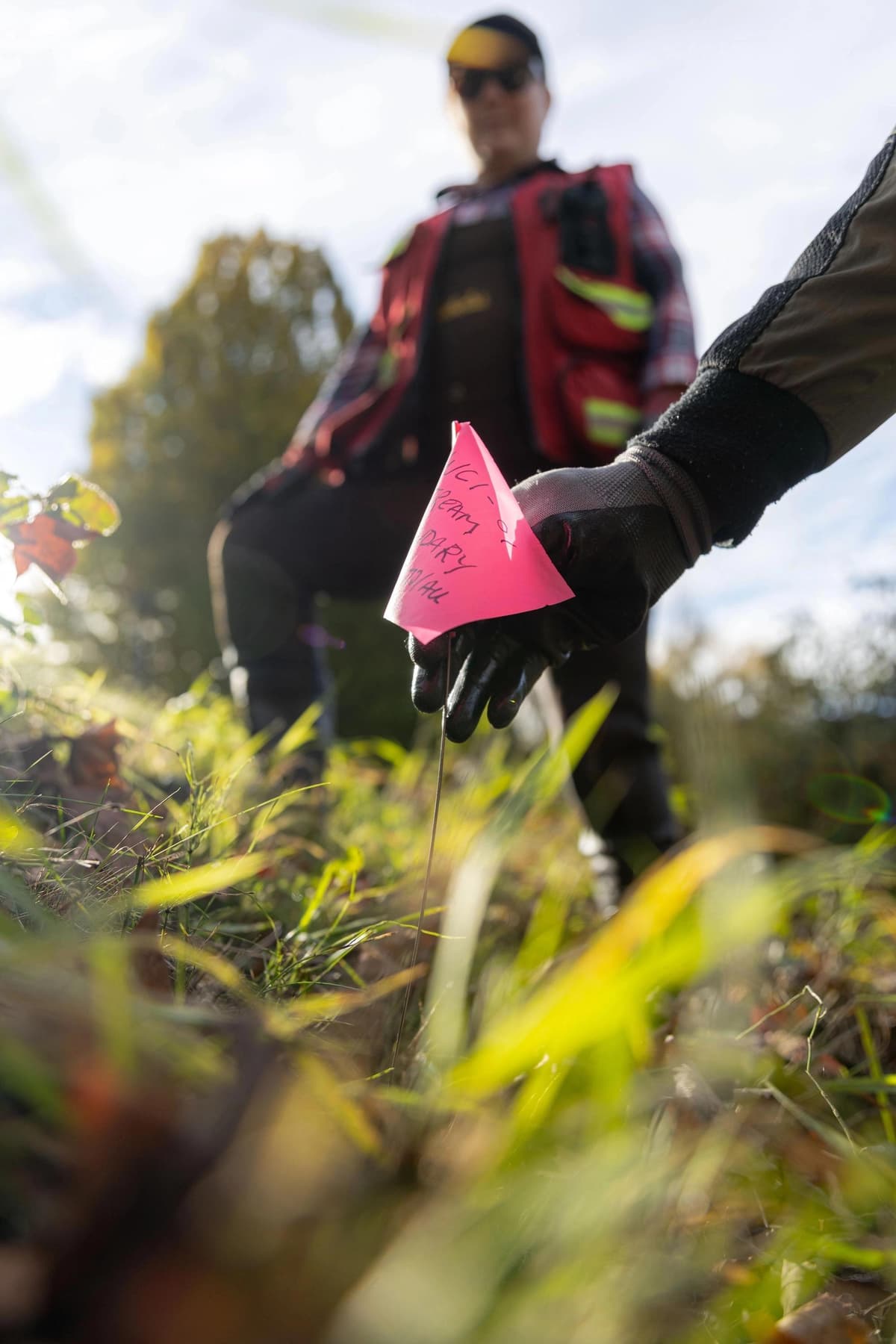 Restoration and Mitigation