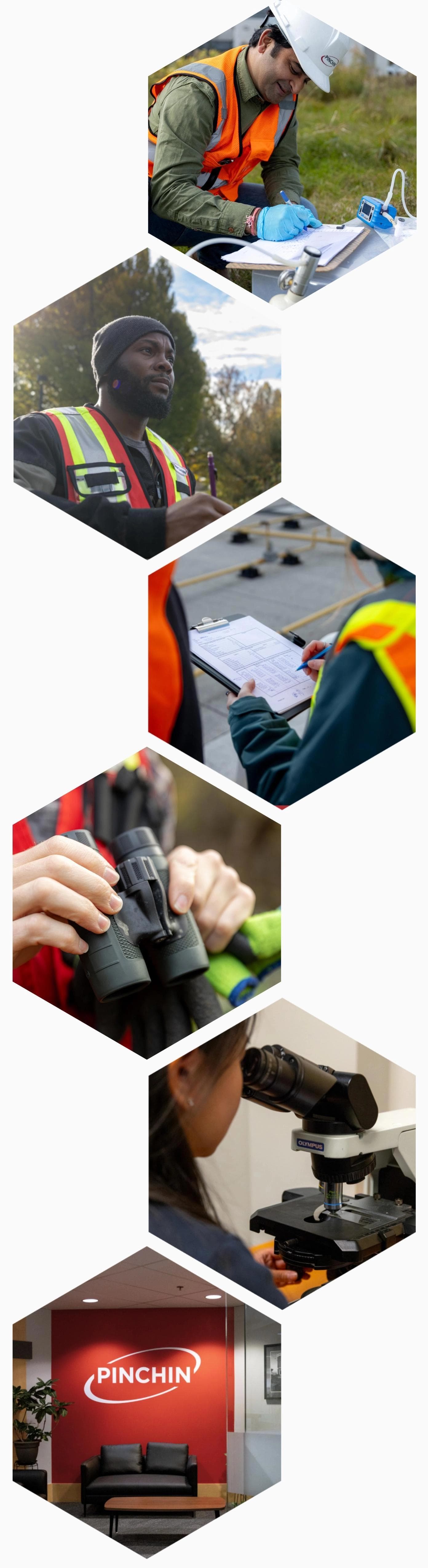 Over 40 Years of Growth.