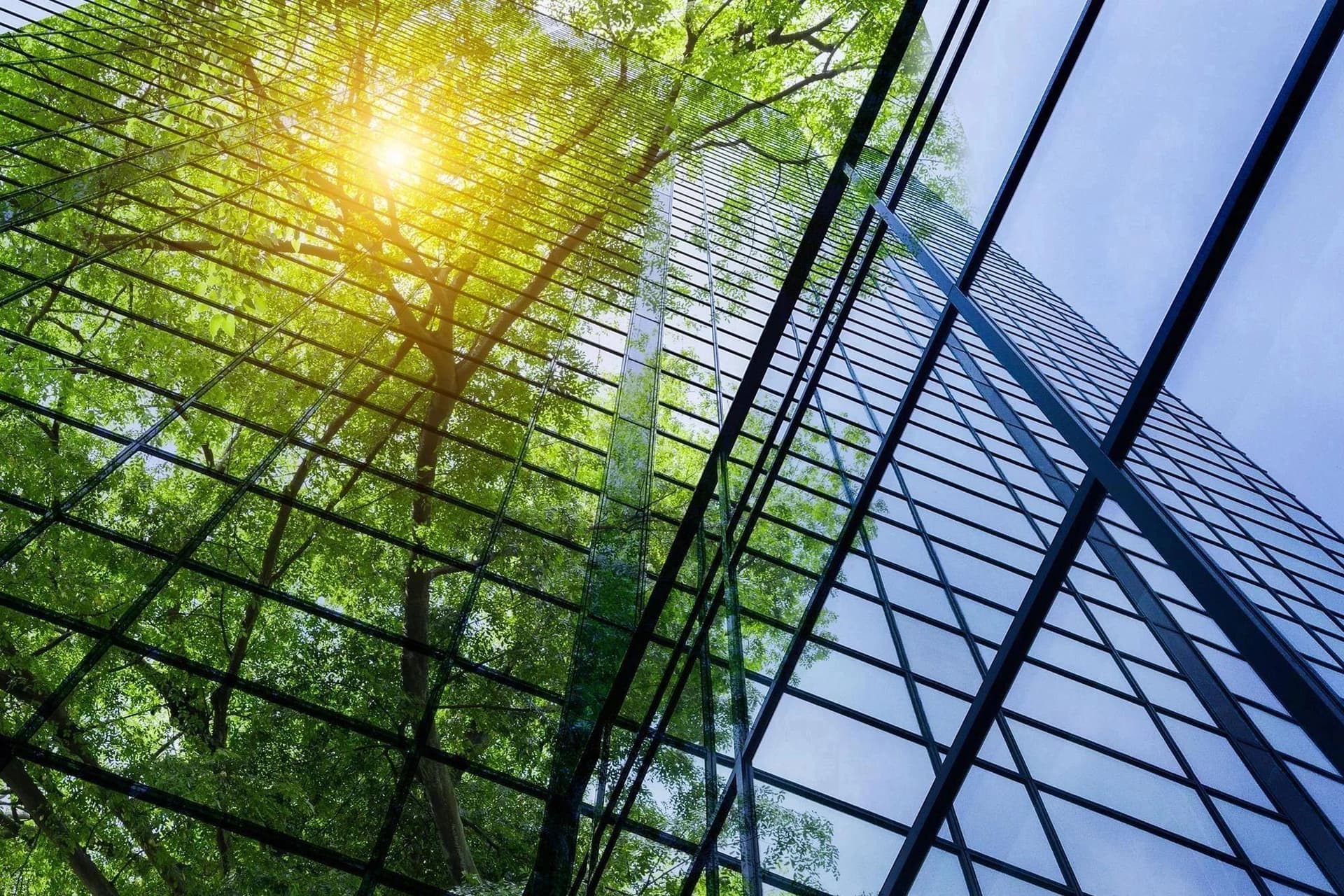 Pinchin Appoints Shawn Till as CEO