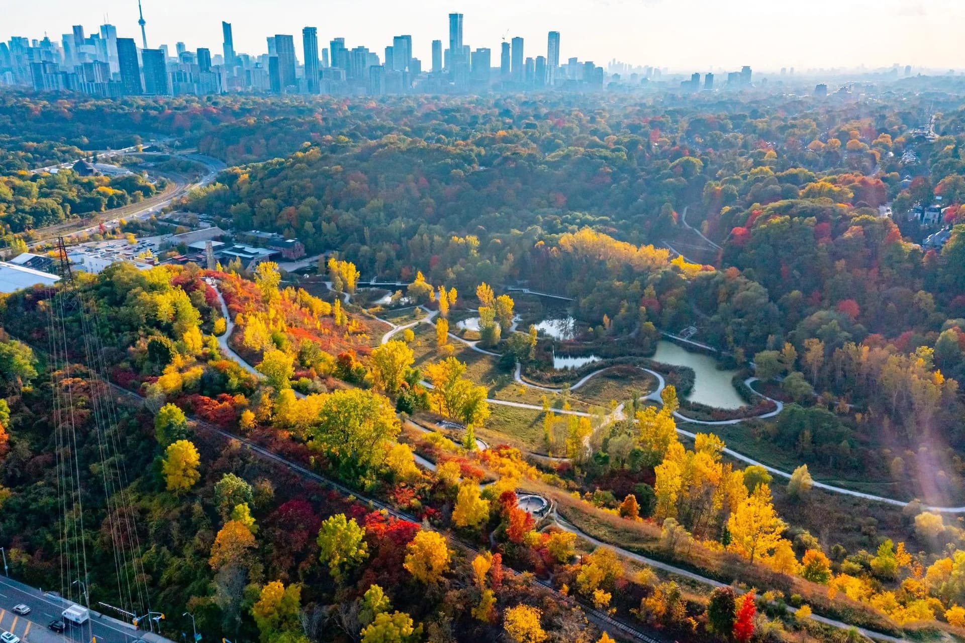National Tree Day 2025