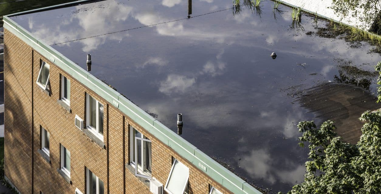 Webinar Recording: Building & Infrastructure Resiliency and the Risks of Overland Flooding