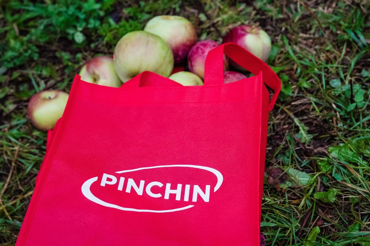 Rooted in Responsibility