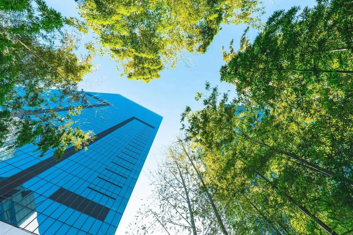 Environmental Site Assessments