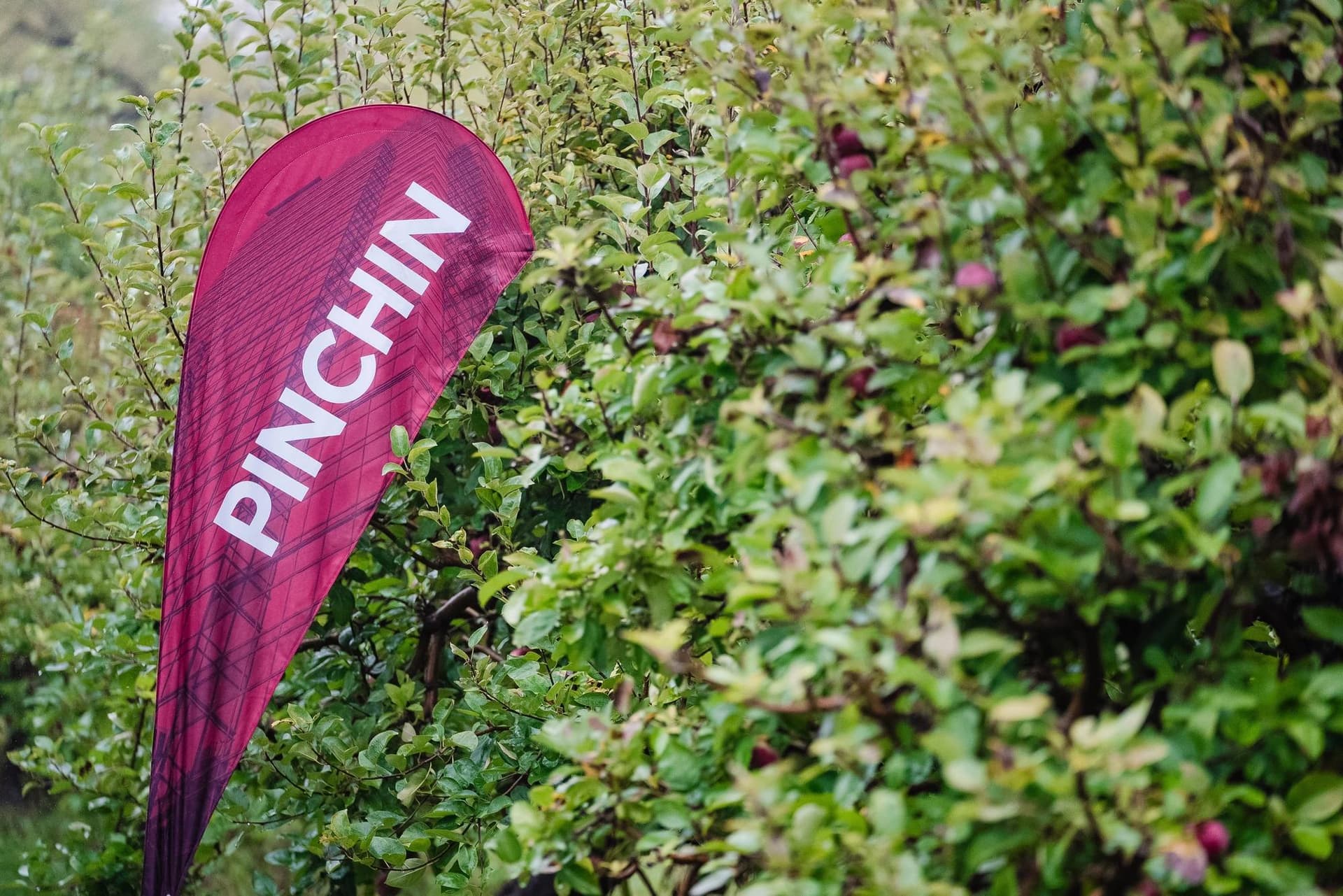 The Pinchin Apple Story