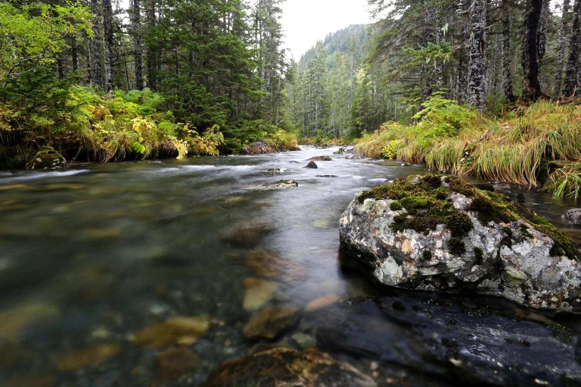 Webinar Recording: Water & Wildlife for Developments and Infrastructure