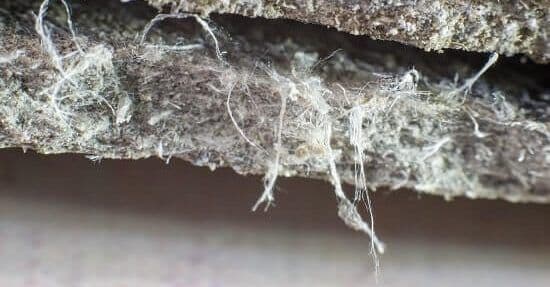 Webinar Recording: Unveiling the Latest Insights: Asbestos in BC – Your Comprehensive Guide to What’s New and Essential Information