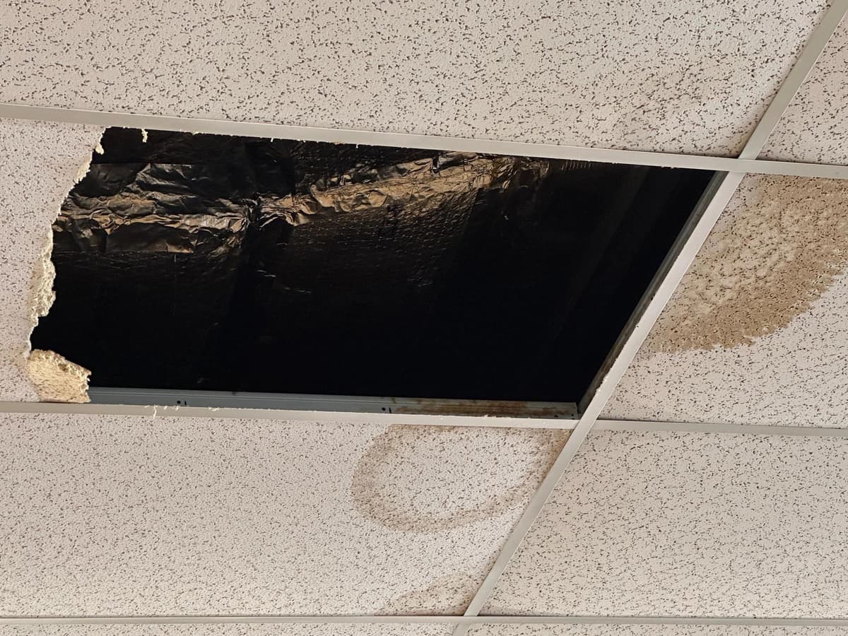 Water Damage Assessments