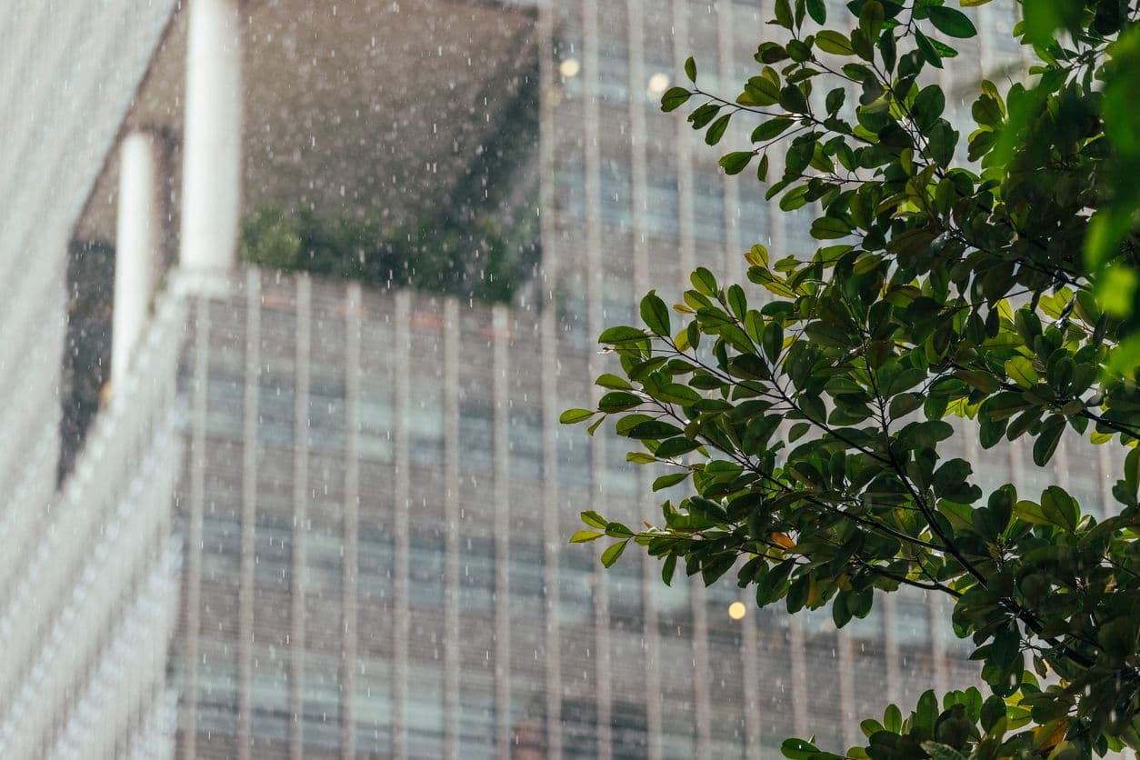 Webinar Recording: Financial Implications of Climate Risk & Building Resiliency in Real Estate Markets