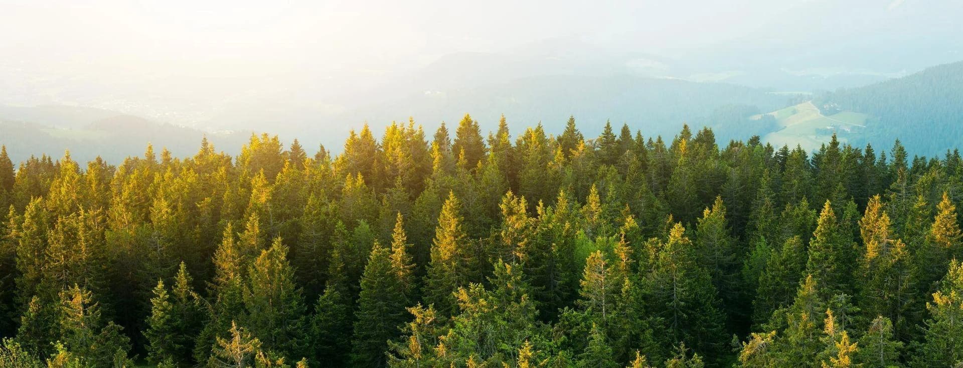 Pinchin Ltd Partners with PM Environmental