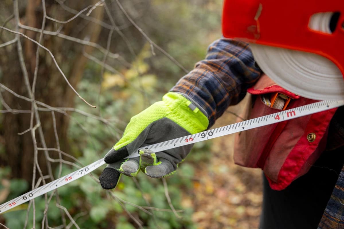 Comprehensive to the Core