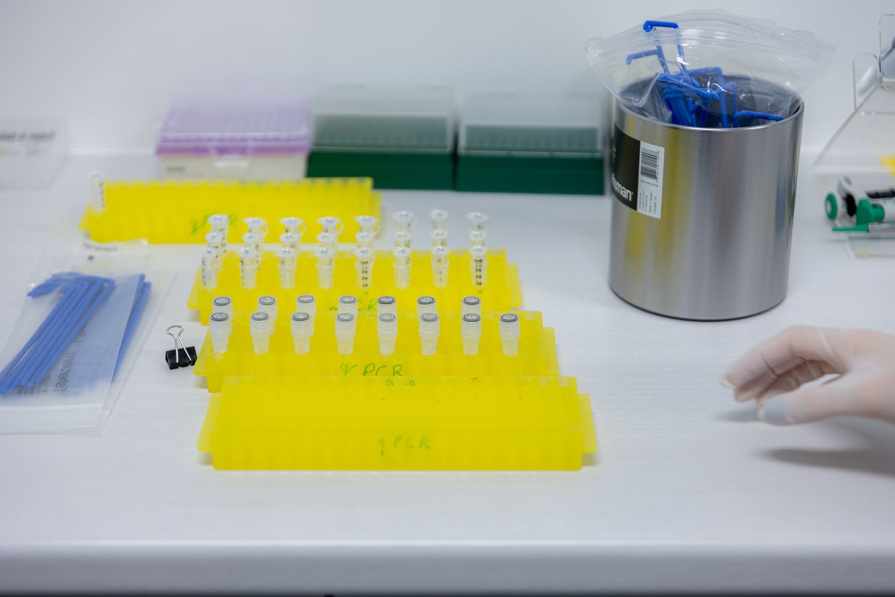 Next Lab Environmental Environmental Laboratory Services | Pinchin